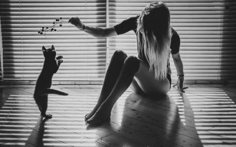 明明很困却睡不着句子（推荐深夜睡不着的经典句子）