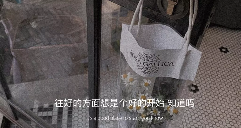 鲁滨逊漂流记好词好句（鲁滨逊漂流记原文摘抄加赏析）