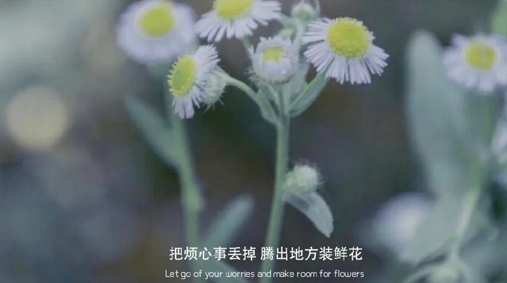 鲁滨逊漂流记好词好句（鲁滨逊漂流记原文摘抄加赏析）