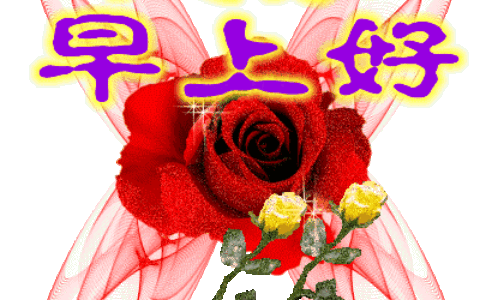 关心人的短信大全（家人的问候语及关心话）