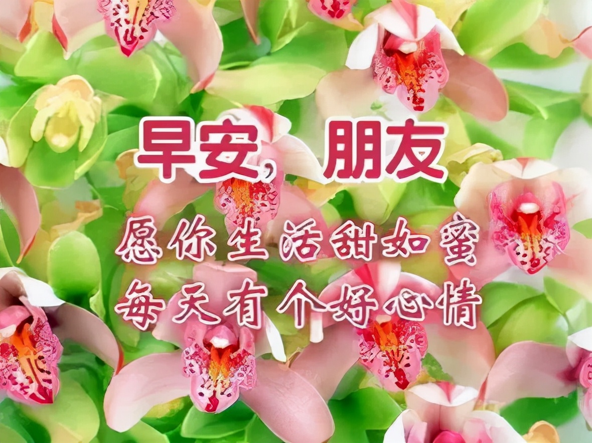 关心人的短信大全（家人的问候语及关心话）