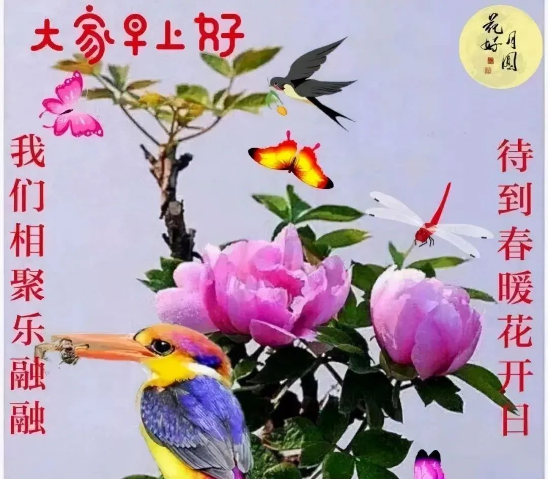 关心人的短信大全（家人的问候语及关心话）