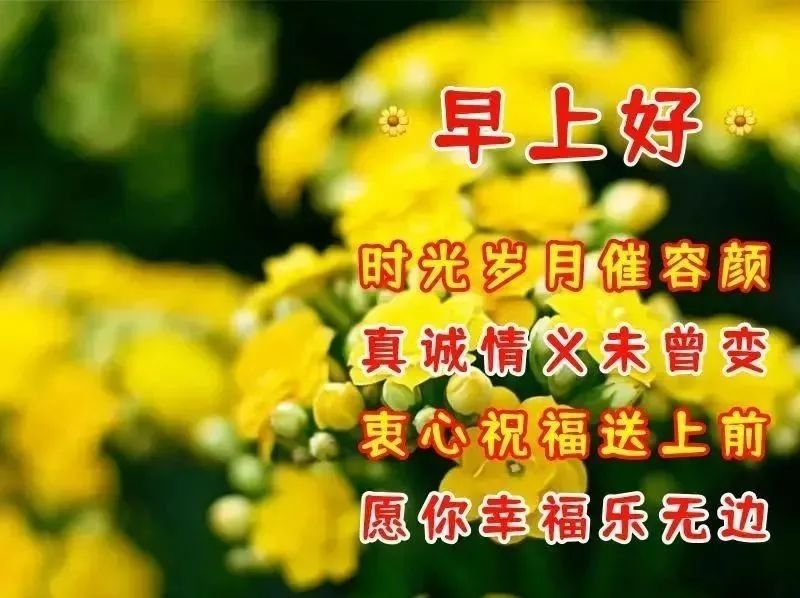 关心人的短信大全（家人的问候语及关心话）