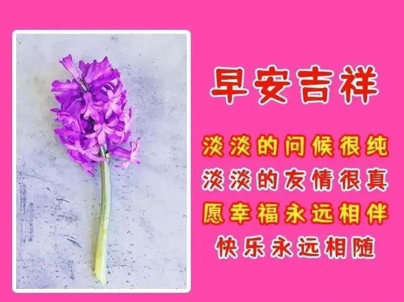 关心人的短信大全（家人的问候语及关心话）