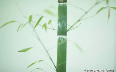 夸男生的幽默句子（夸男人比较有内涵的话）