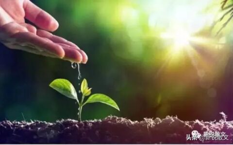 疫情班会感悟作文（2020抗击疫情感想）