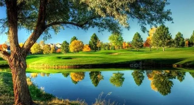 岁月静好的诗句（平淡生活的唯美古诗词）