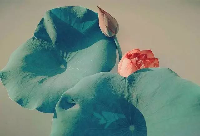 岁月静好的诗句（平淡生活的唯美古诗词）