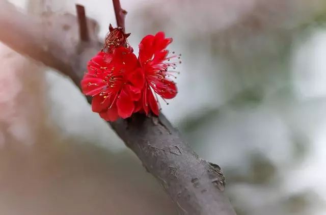 岁月静好的诗句（平淡生活的唯美古诗词）