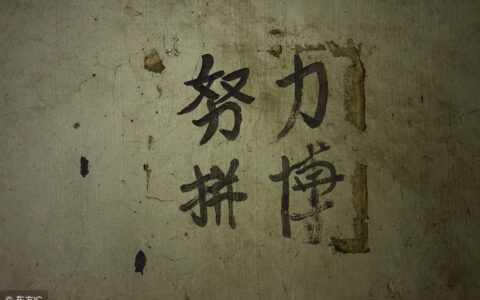 关于工作励志的句子带图片（努力拼搏的生活励志语录）