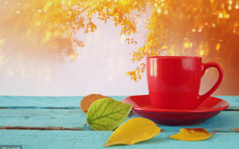 爱情的词语两个字（表达深爱一个人的词语）