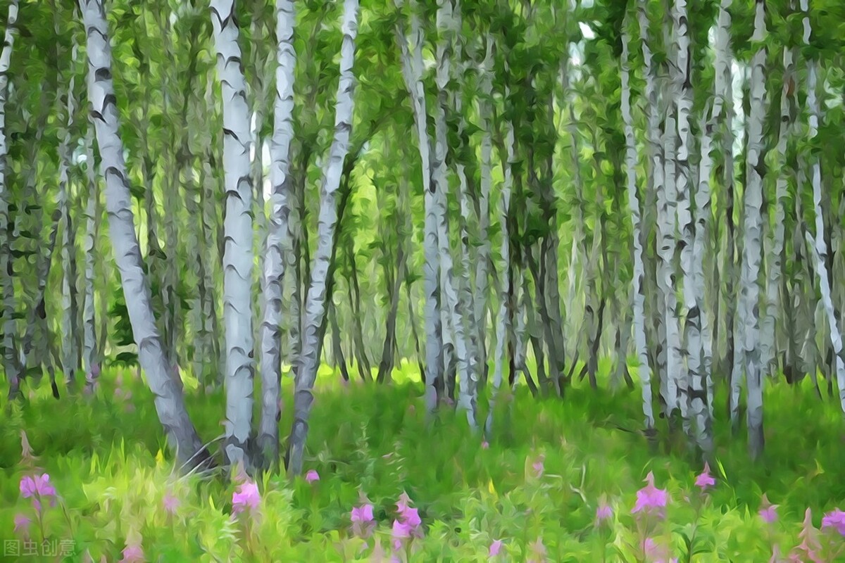 咏怀其一阮籍（咏怀古诗翻译及赏析）