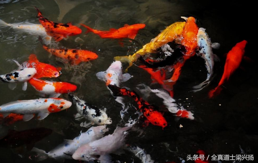 名人战胜挫折的事例50简短（逆境造就成功的名人故事）