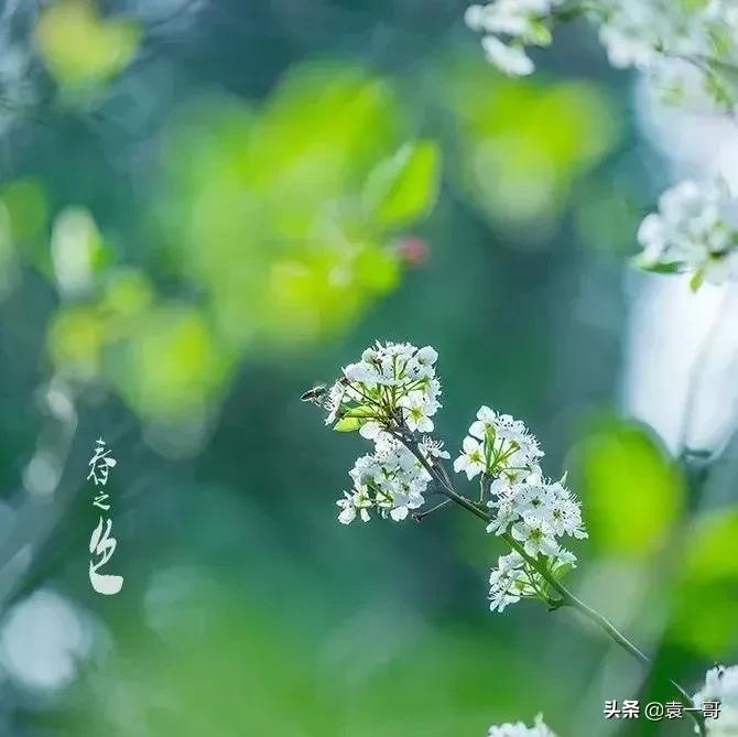 描写风景的现代诗摘抄（简短优美的现代诗）