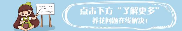 一家人在一起幸福的说说（发朋友圈秀一家人的话）