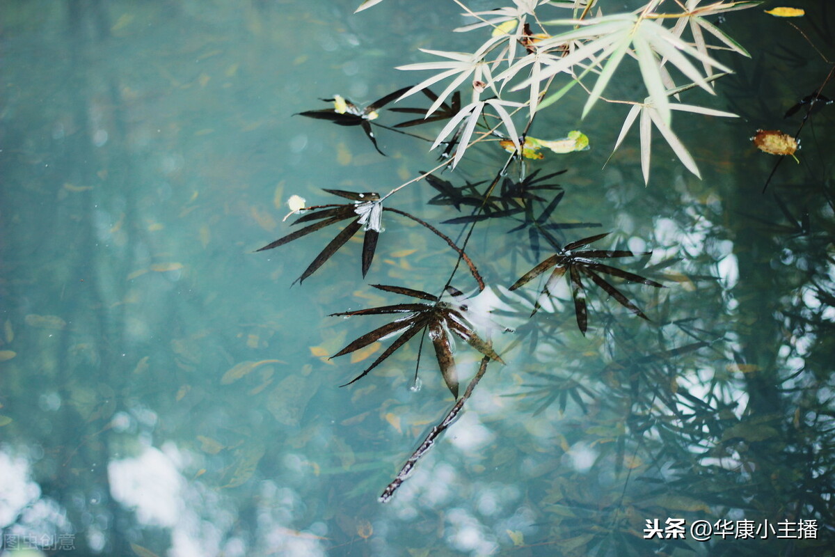 过江千尺浪全诗（古诗风原文及赏析）