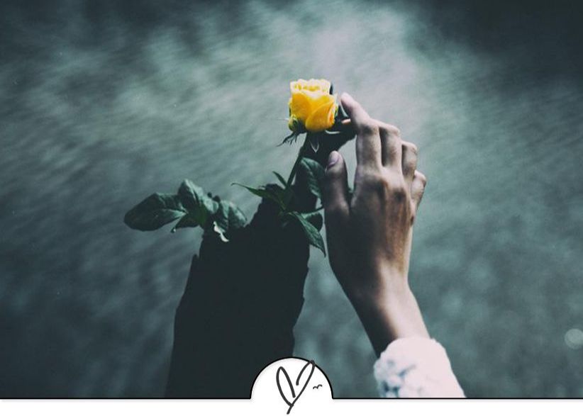 苏东坡诗词精选（苏东坡诗词精选十首）