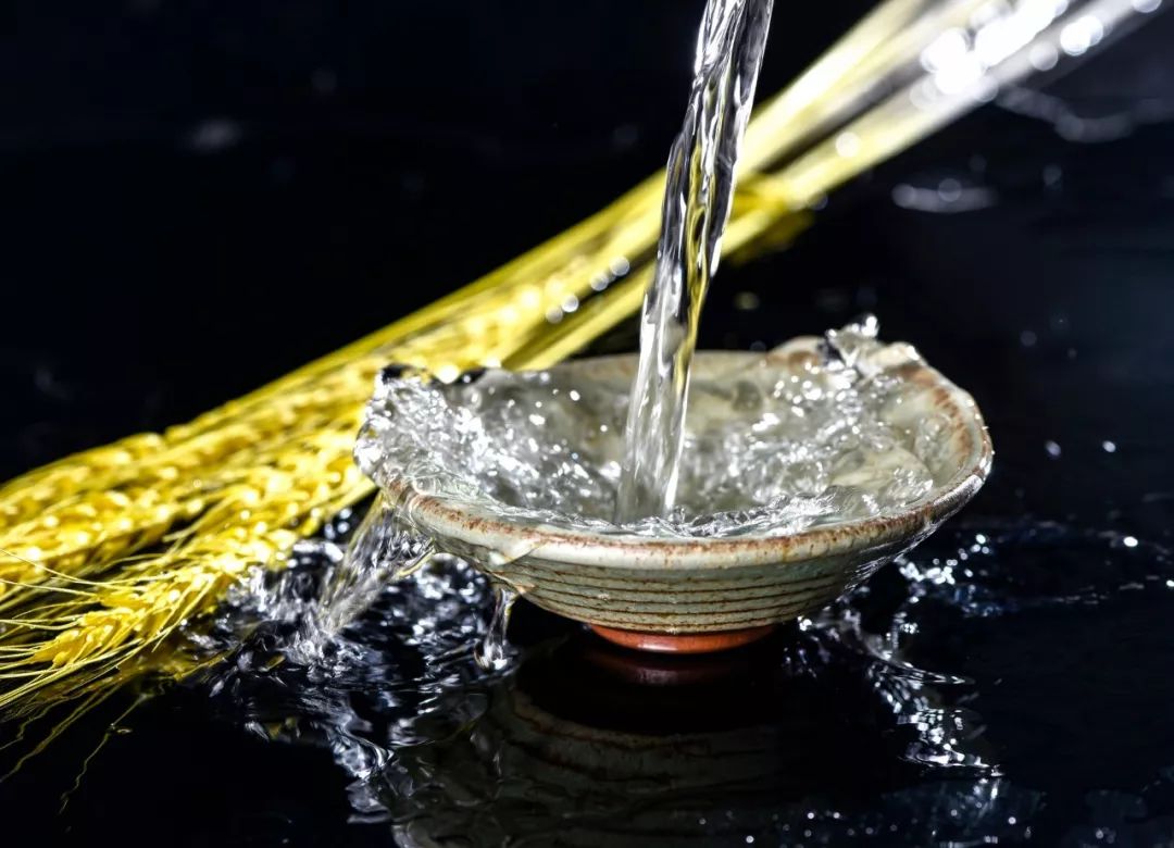 喝酒的诗句诗词大全（人生与酒的唯美句子）