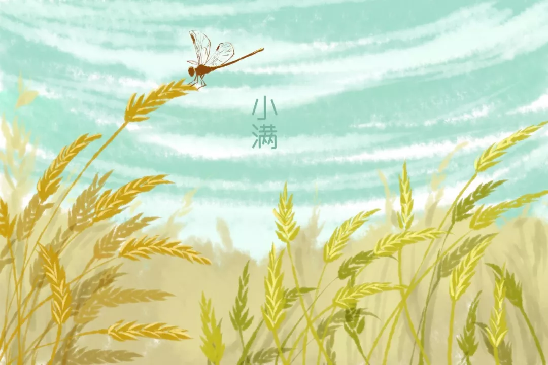 小满的诗句有哪些（关于小满的古诗大全）