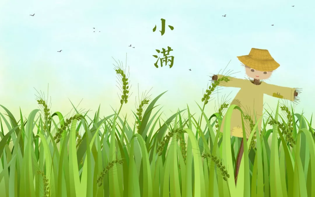 小满的诗句有哪些（关于小满的古诗大全）