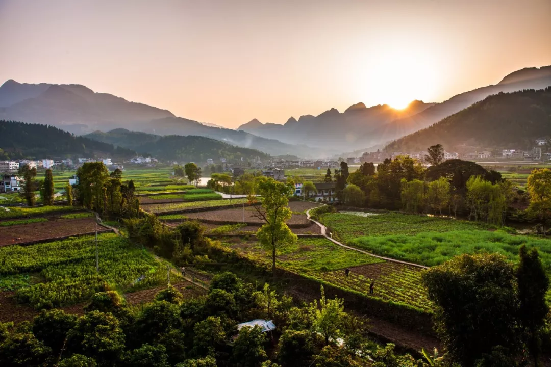 小满的诗句有哪些（关于小满的古诗大全）