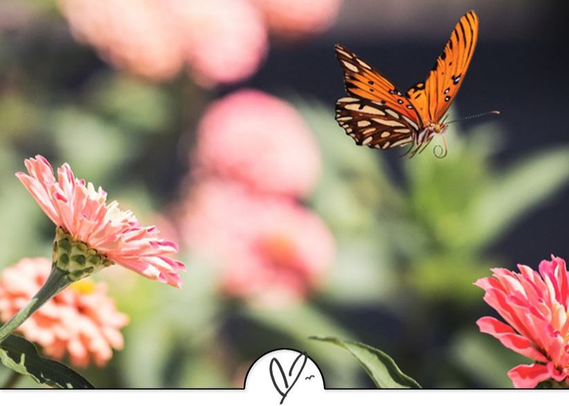 苏轼诗词最佳十首（苏东坡最美的十首诗词）