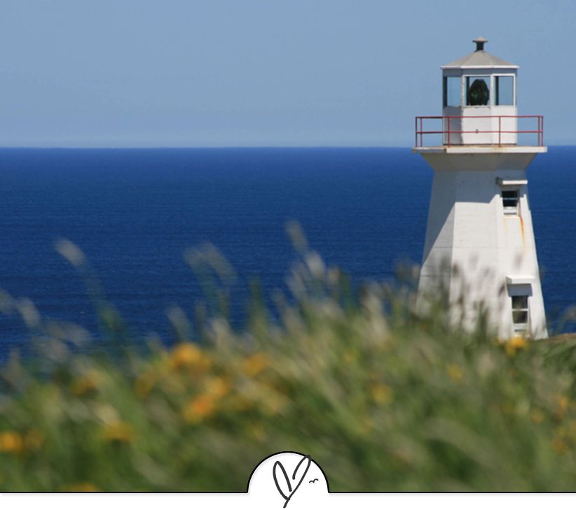 苏轼诗词最佳十首（苏东坡最美的十首诗词）