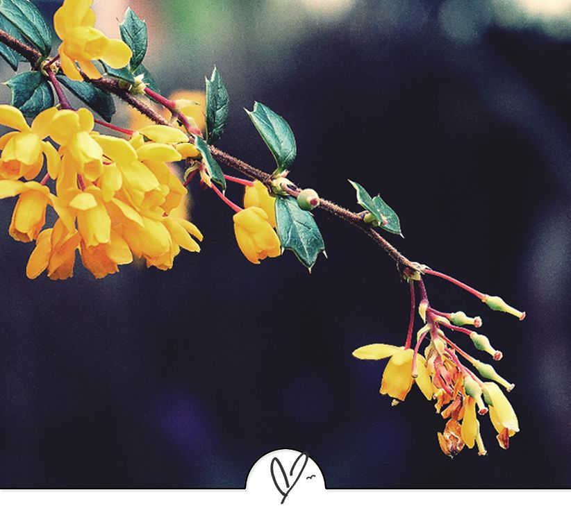 苏轼诗词最佳十首（苏东坡最美的十首诗词）