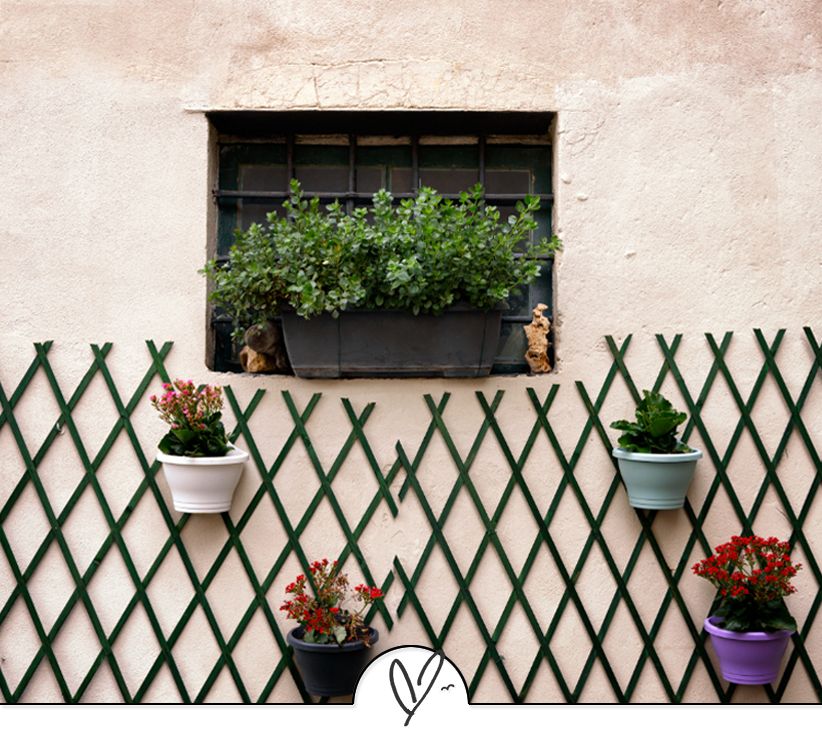 苏轼诗词最佳十首（苏东坡最美的十首诗词）