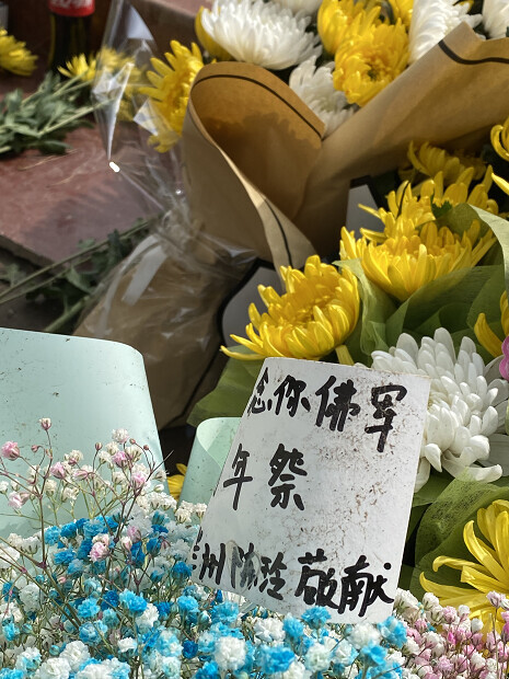 缅怀先烈寄语留言（缅怀先烈的经典句子分享）