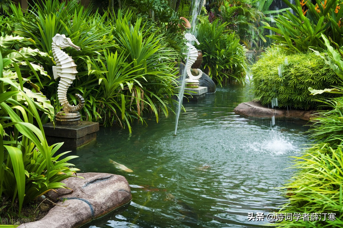 带春字的古诗句子（带春字的古诗全部分享）