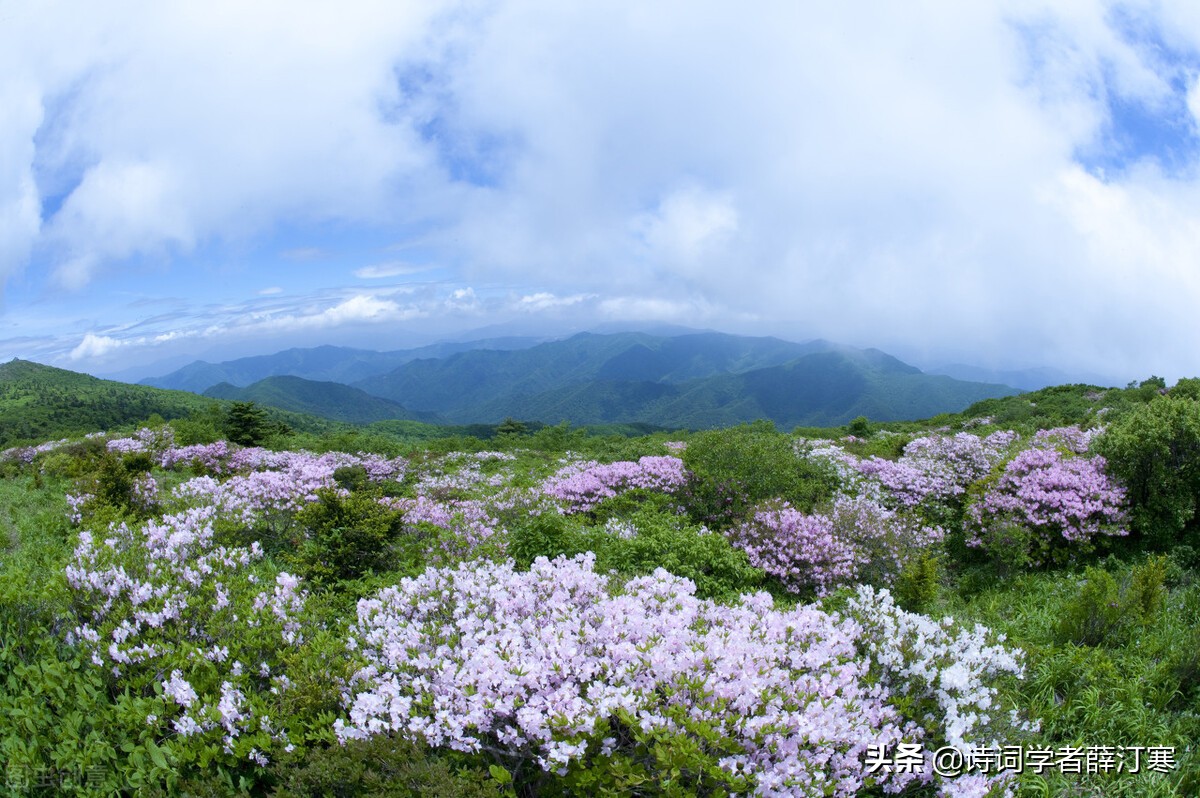 带春字的古诗句子（带春字的古诗全部分享）