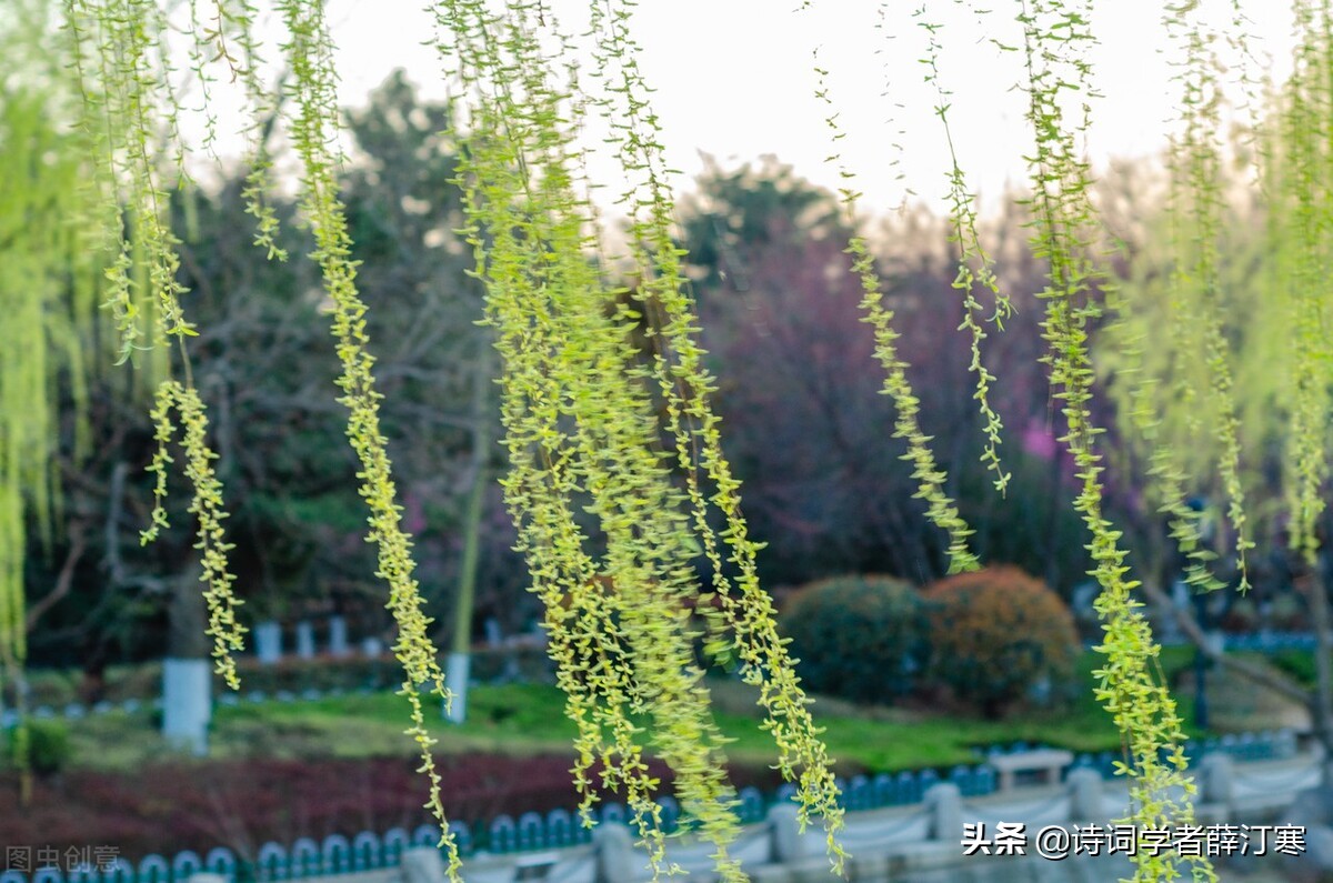 带春字的古诗句子（带春字的古诗全部分享）