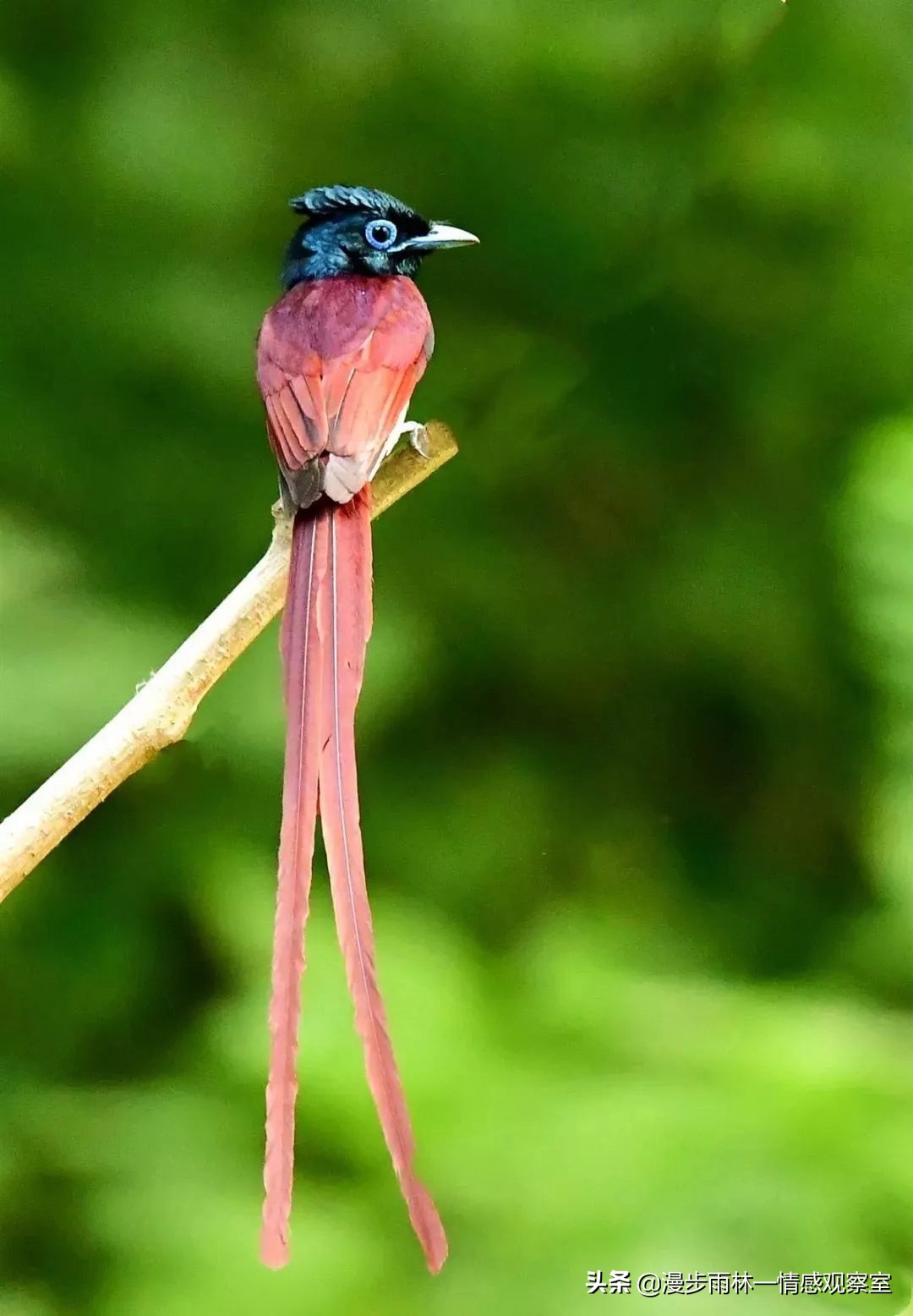 做女人难的精辟句子（女人的无奈和心酸的说说）