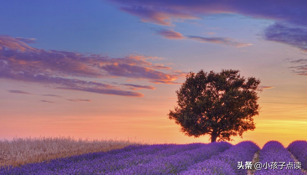 带水的诗句有哪些（关于赞美水的诗句）