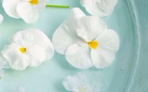 六字成语霸气网名大全（超甜的情侣名一人一半）