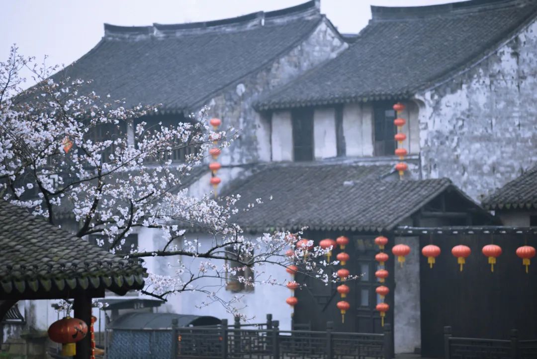 赞美花的句子有哪些（形容花美的经典短语）