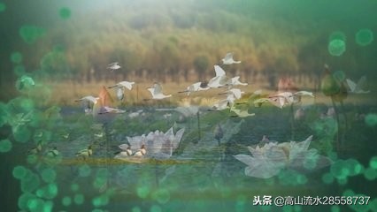 如梦令常记溪亭日暮赏析（李清照如梦令常记溪亭日暮）