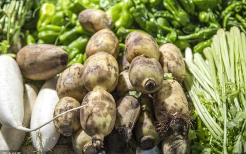 红藕香残玉簟秋什么意思（李清照最肉麻的一首诗）