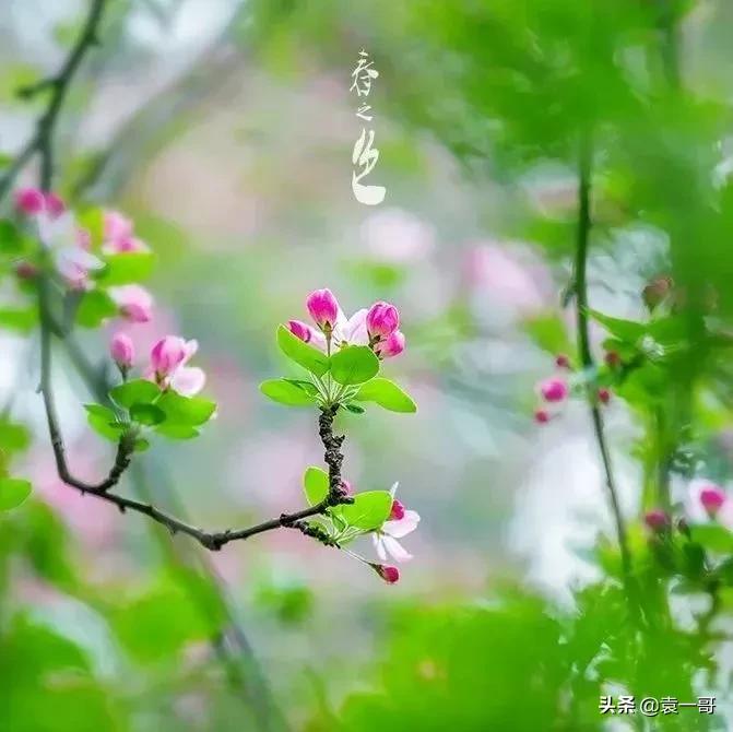 写景现代诗大全（风景的现代诗简短）