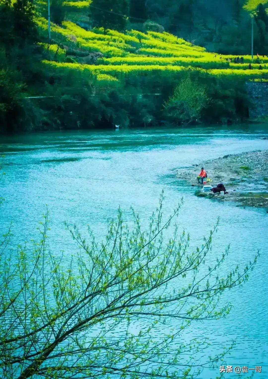 写景现代诗大全（风景的现代诗简短）