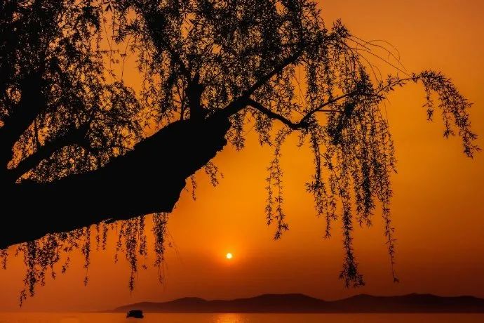 描写夕阳的诗句有哪些（表达夕阳的唯美的诗句）