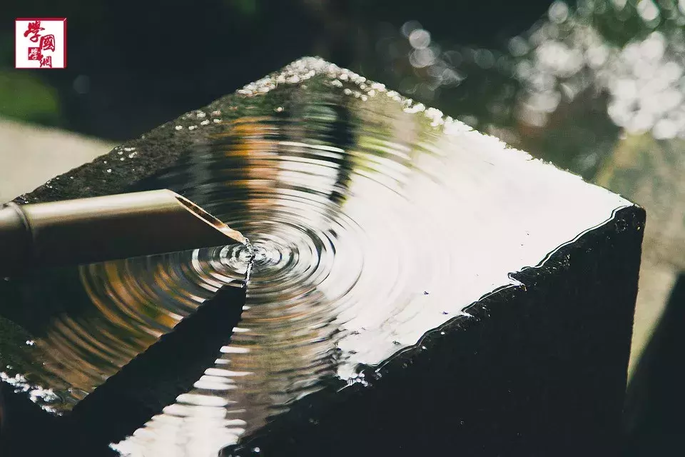 关于竹子的诗句古诗（关于竹子的诗欣赏）