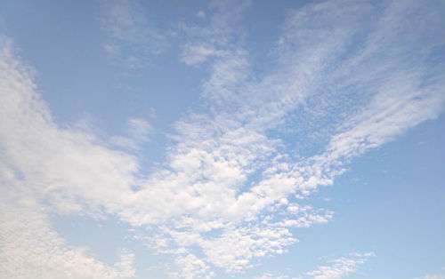 单身狗过情人节的说说（单身狗的幽默句子）