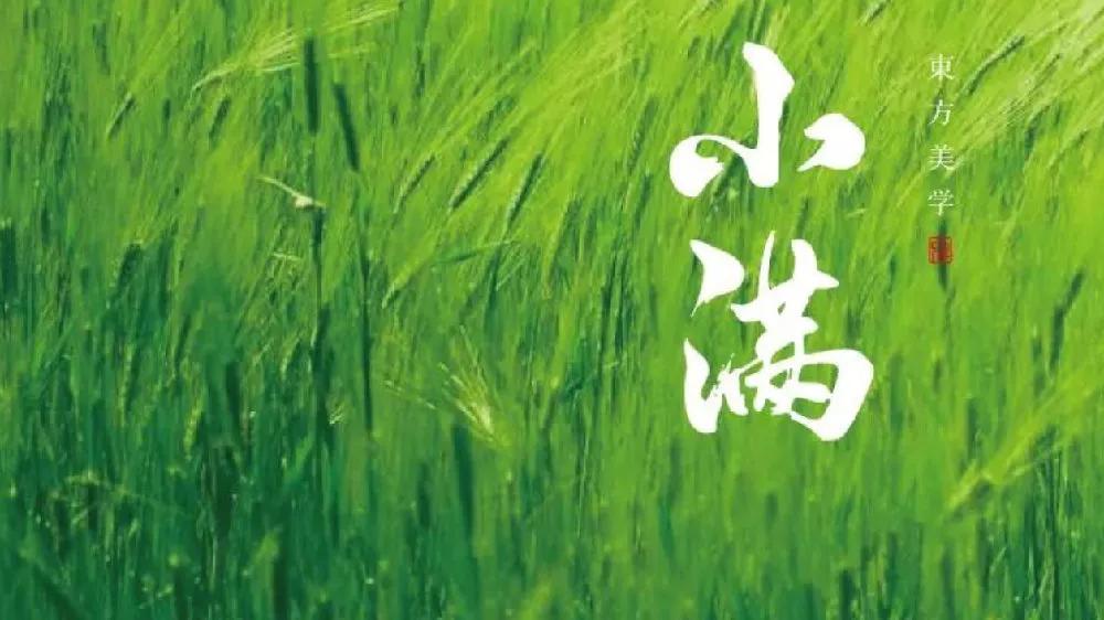 关于小满的古诗词（小满经典诗句分享）