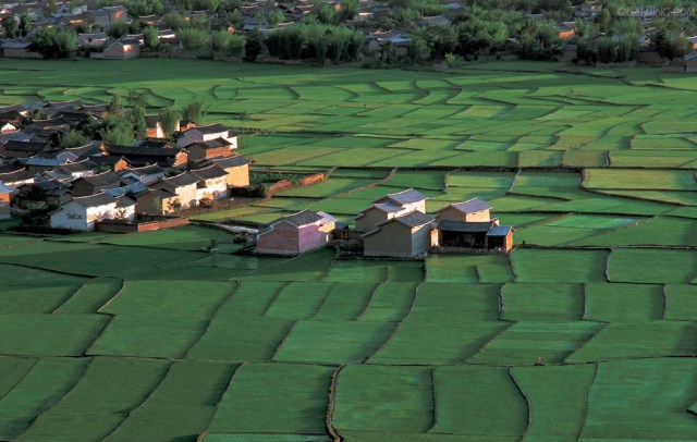 母爱的现代诗短诗(赞美母亲的诗歌大全)