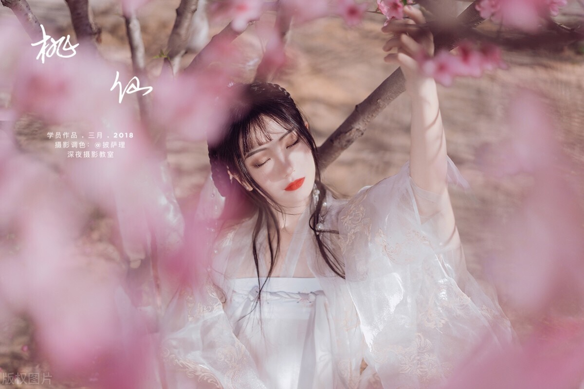 唐寅诗集桃花庵（唐伯虎代表诗作）