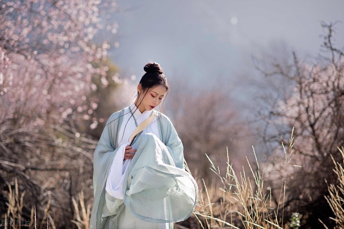 唐寅诗集桃花庵（唐伯虎代表诗作）