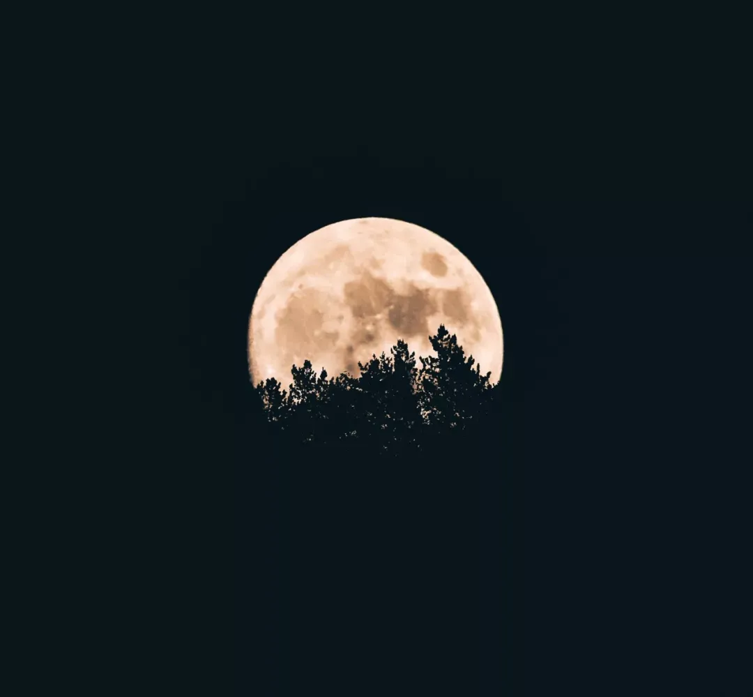 适合摘抄的现代诗简短（最著名的现代诗歌）
