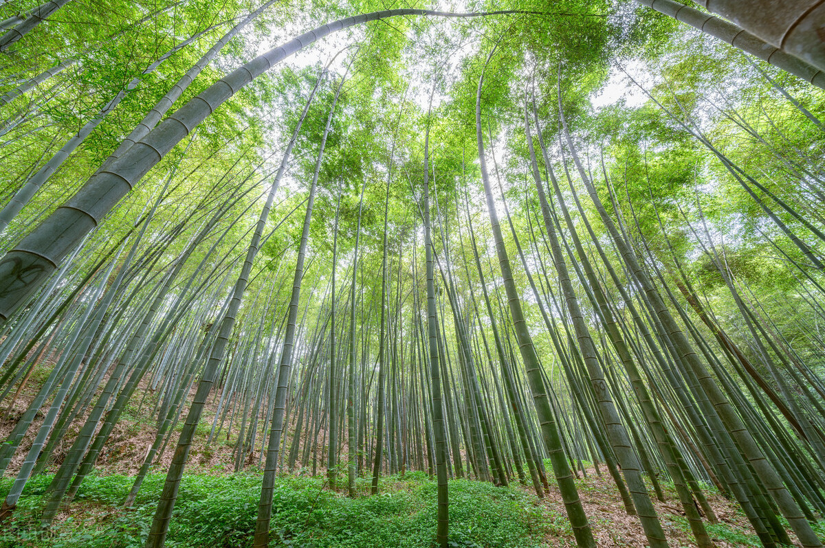 劝人继续努力的诗句（鼓励自己继续努力的古语）